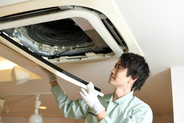 Best HVAC Maintenance and Cleaning  in Johnsonville, SC